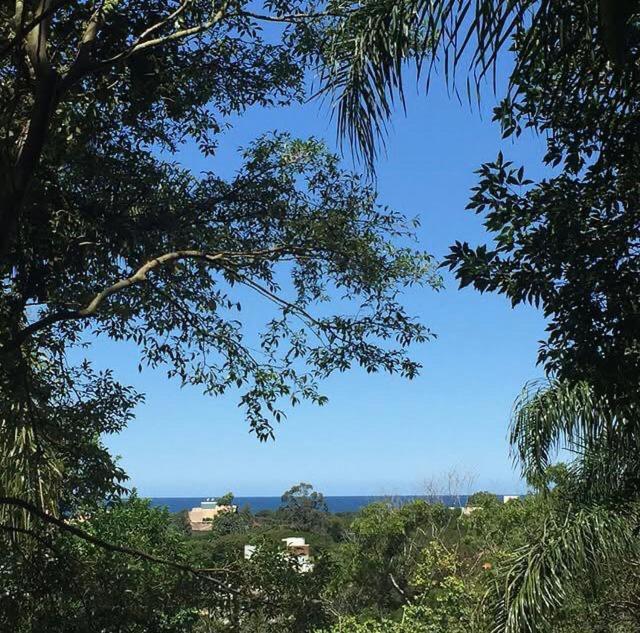 Casa Figueira Na Pedra Hotell Florianópolis Eksteriør bilde