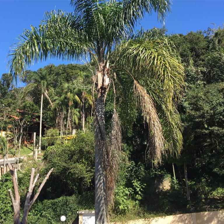 Casa Figueira Na Pedra Hotell Florianópolis Eksteriør bilde